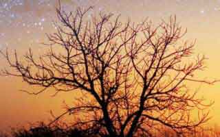 Momentum: What It Is and Why It Matters