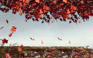 U.S. Stock Futures Dip: The Reality After a Rocky November - Investors Hit the Panic Button